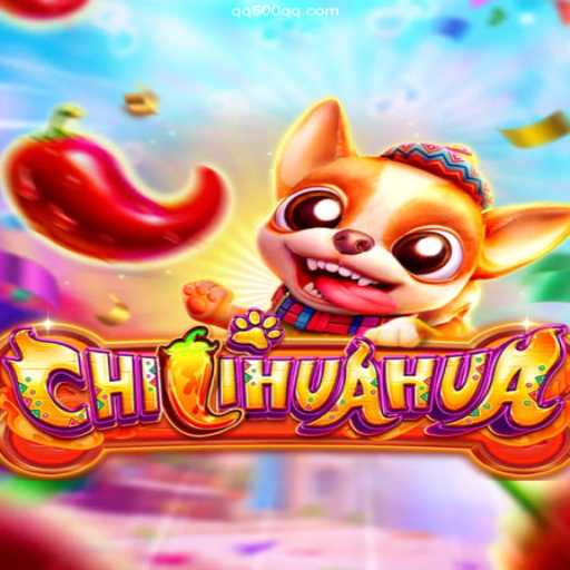 CHILIHUAHUA: An Exciting New Game Taking Brazil by Storm