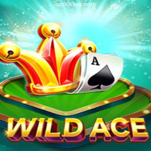 Exploring the Thrilling Realm of WildAce